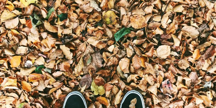 3024x4032 HD wallpaper: pair of red low-top lace-up sneakers, feet, sea, waves