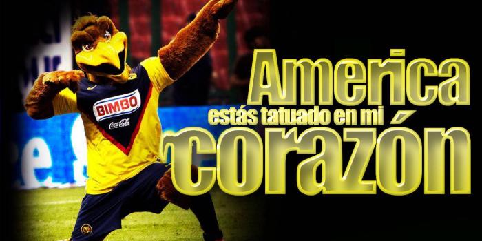 1440x1280 America Wallpaper by gaboo86 - 88 - Free on ZEDGE™