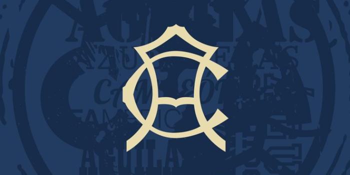 736x1130 Club America Wallpapers - Top Free Club America Backgrounds