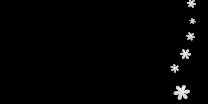 1332x850 Wallpaper flowers, minimalism, black background images for desktop