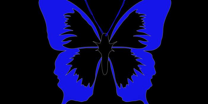 3415x3415 Download wallpaper 3415x3415 butterfly, minimalism, black, blue ipad