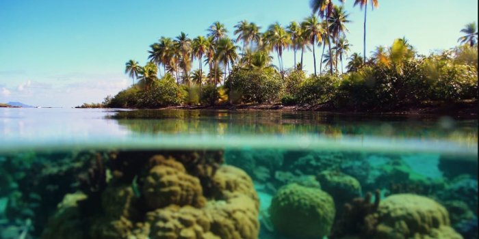 1236x650 Best Background Pics For Laptop (#757530) - HD Wallpaper Download