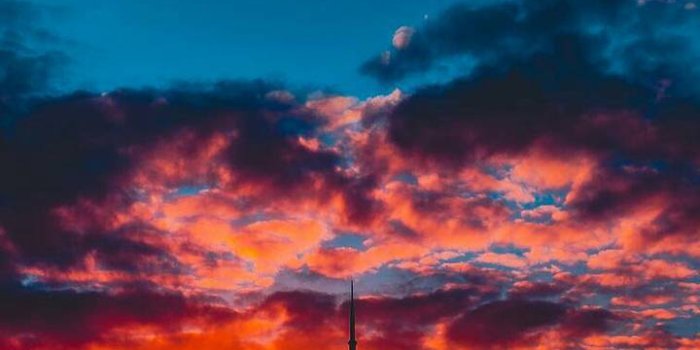 720x1280 Toronto Wallpaper by P3TR1T - 23 - Free on ZEDGE™