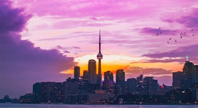 640x1385 Polson Pier Toronto Canada iPhone X Wallpapers Free Download