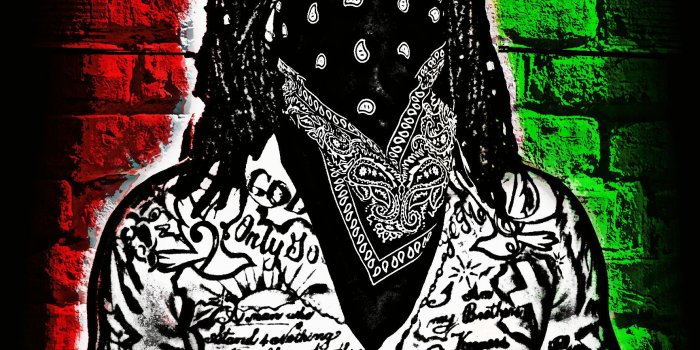 1770x1980 60+ Rasta Lion Wallpapers on WallpaperPlay