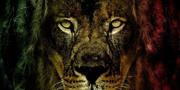 1680x1050 Cool rasta wallpapers Gallery