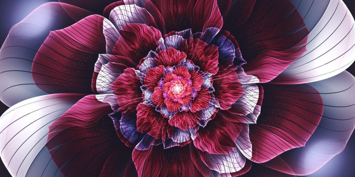1920x1200 2815645 fractal abstract fractal flowers flowers symmetry petals