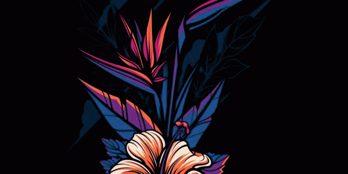 1080x1920 Witch Aesthetic Wallpapers - Top Free Witch Aesthetic Backgrounds