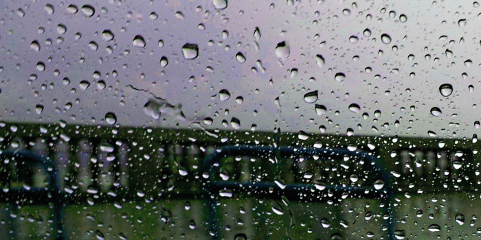 1749x1567 177+ good morning wishes for a rainy day Images Photo Pics HD For Lover