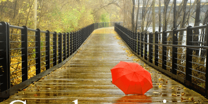 1178x900 177+ good morning wishes for a rainy day Images Photo Pics HD For Lover