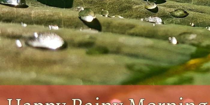 862x1024 30 Good Morning Wishes For A Rainy Day