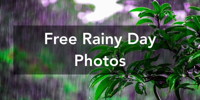 1500x1000 1000+ Interesting Rainy Day Photos · Pexels · Free Stock Photos