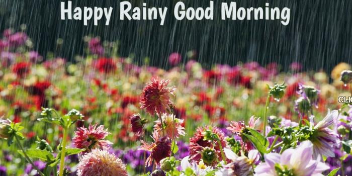 1920x1080 30 Good Morning Wishes For A Rainy Day