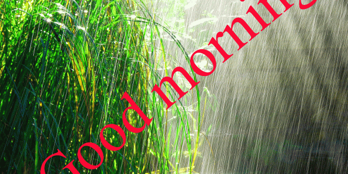 1847x1568 177+ good morning wishes for a rainy day Images Photo Pics HD For Lover