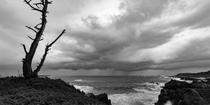 3840x2160 Rainy Morning 4K wallpaper