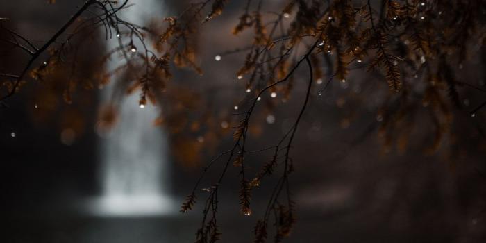 1000x1500 A beautiful morning at a waterfall ne... | HD photo by Blake Cheek