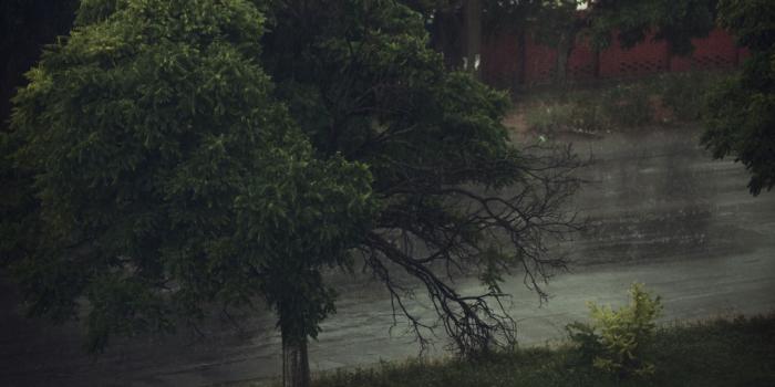 2560x1600 Rainy Day Wallpapers - Top Free Rainy Day Backgrounds - WallpaperAccess