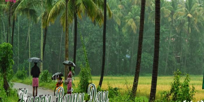 1600x1000 55+ Best Rainy Day Wish Pictures And Photos