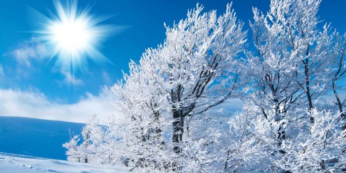 1920x1080 Desktop Wallpapers and Backgrounds | Winter, backgrounds, desktop