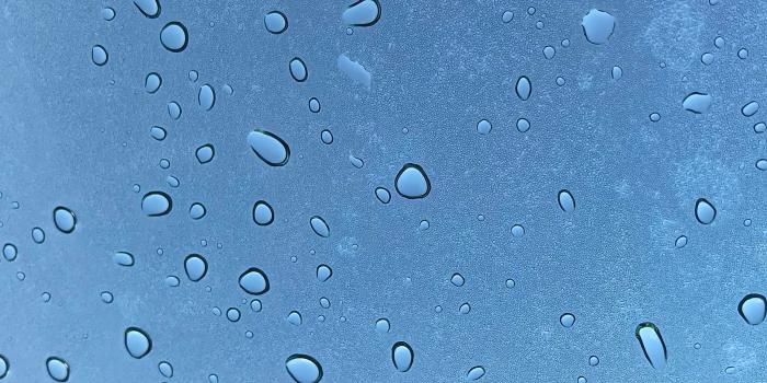 3024x4032 Picture I took of my windshield after a rainy morning. Hope you like