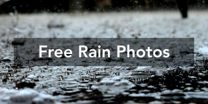 1500x1000 500+ Amazing Rain Photos · Pexels · Free Stock Photos
