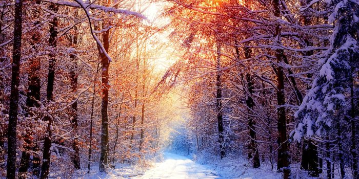 2560x1600 Winter Desktop Wallpaper