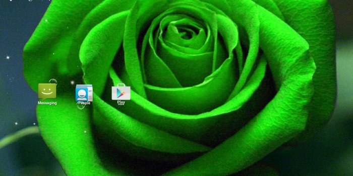 1280x768 Green Rose Live Wallpaper for Android - APK Download