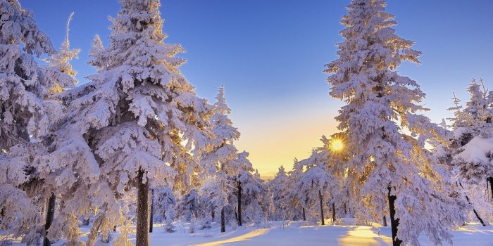 1920x1080 68+ Winter Computer Wallpapers on WallpaperPlay