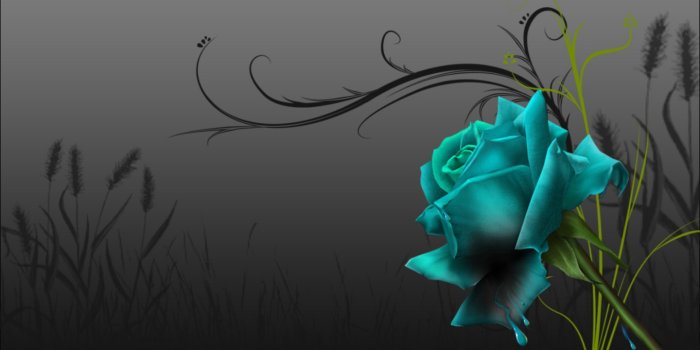 1440x900 Blue Green Rose Wallpaper For Blackberry 33 Background