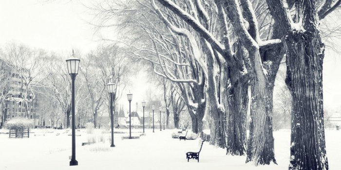 1920x1080 Winter Desktop Backgrounds - Wallpaper, High Definition, High