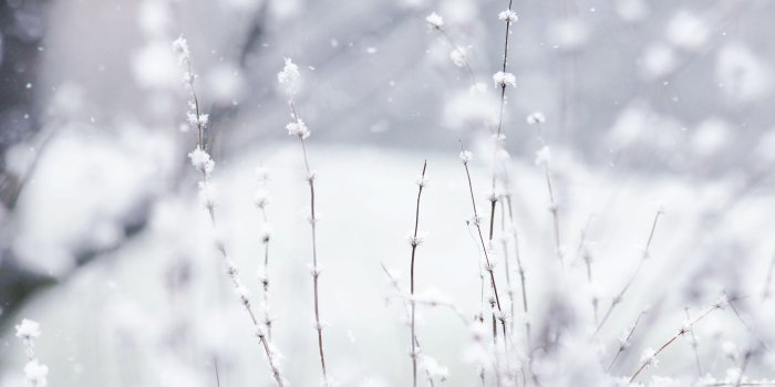 3888x2592 Winter Desktop Backgrounds