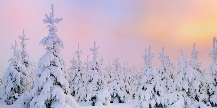 1600x900 Winter Snow Desktop Wallpaper HD 49817 - Dongxue Series - Landscape