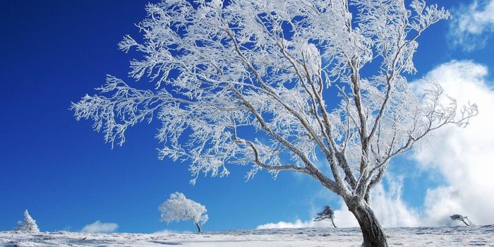 1600x1200 Winter Backgrounds download free