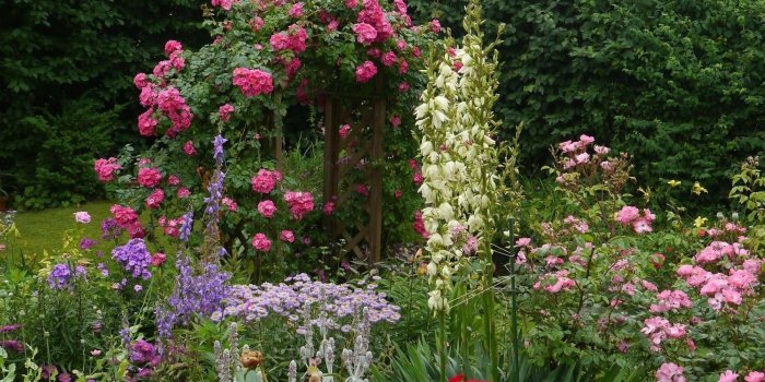 1800x1180 Flowers, Flower Wallpaper HD, Beautifully, 1080p, Garden, Nature