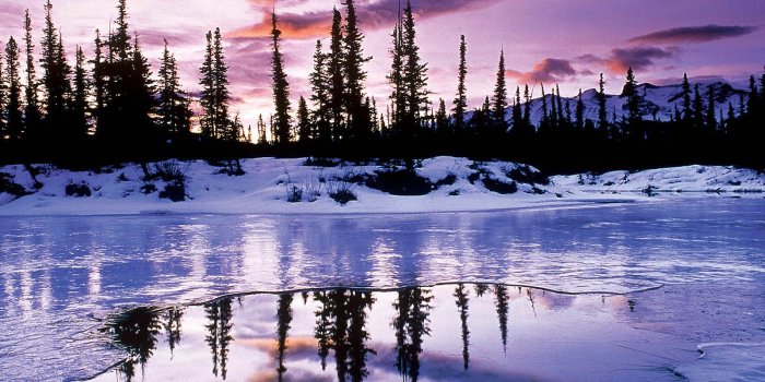 1600x1200 76+] Free Winter Background Wallpaper on WallpaperSafari