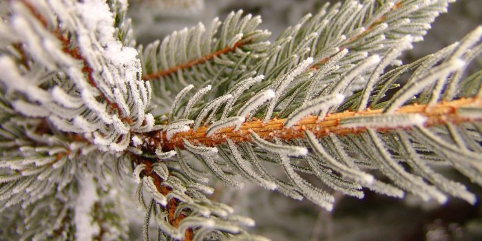 1920x1200 25 Stunning Winter Wallpapers