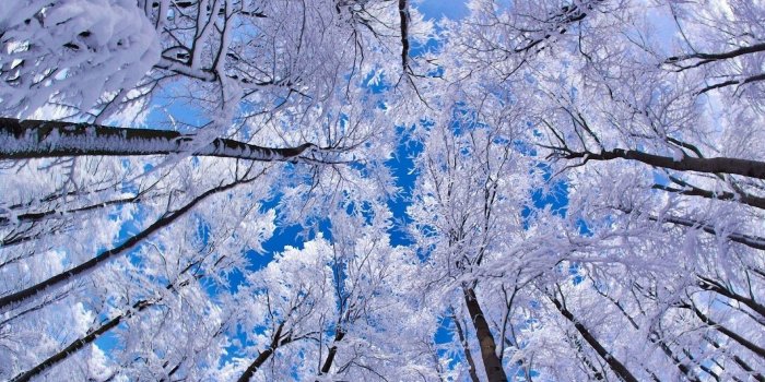 1920x1080 Winter Wallpaper HD (68+ images)