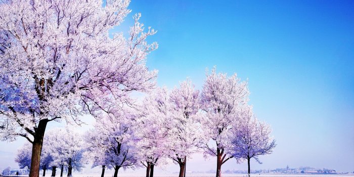 2560x1600 Winter HD Desktop Wallpapers - Top Free Winter HD Desktop