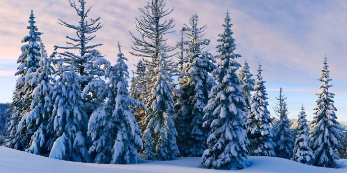 2560x1440 Winter desktop wallpapers 4K Ultra HD