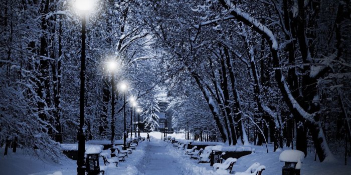 1920x1200 Winter park in the evening by Jaroslaw Grudzinski - Desktop Wallpaper