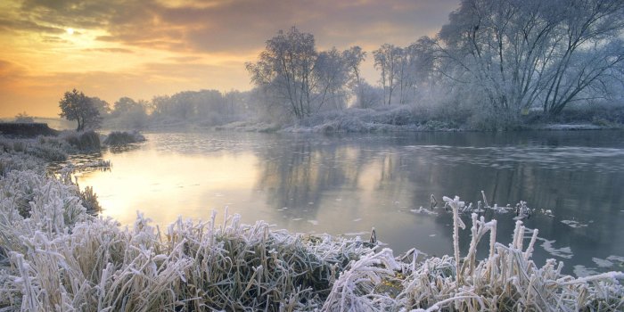 1920x1200 Google Images Winter Desktop Wallpaper / Star ULTRA HD Textures