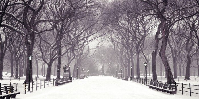 1280x800 free wallpaper winter scenes - HD Desktop Wallpapers | 4k HD