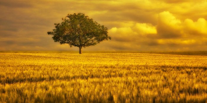 1920x1200 Hd Large Size Wallpapers - (31+) Group Wallpapers