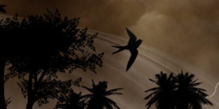 1440x2590 Sad Phone Wallpapers - Top Free Sad Phone Backgrounds - WallpaperAccess