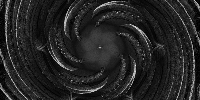 3098x3873 Free stock photo of black, flowers, grainy