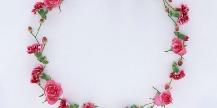 744x1392 iPhone Wallpaper | Pink, Fashion accessory, Jewellery, Plant
