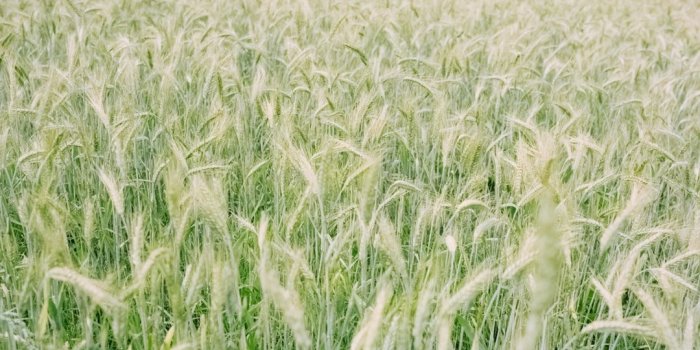 1080x836 Best 100+ Grainy Pictures | Download Free Images on Unsplash