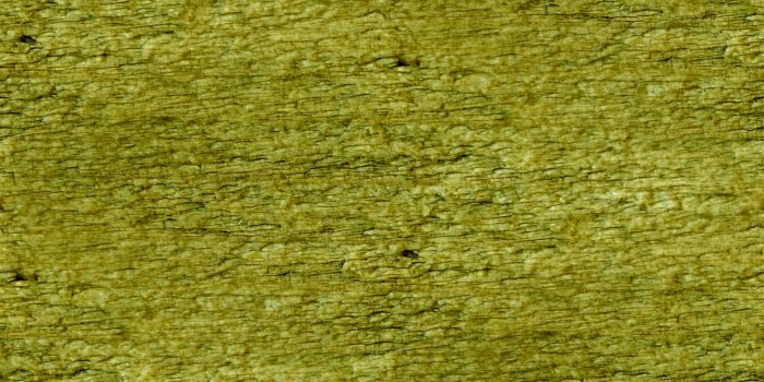 1920x1080 Olive,green,wallpaper,background,web - free photo from needpix.com