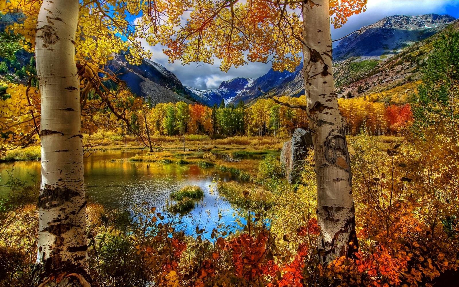 1920x1200 Stunning Autumn Mountain Scenery widescreen wallpaper | Wide