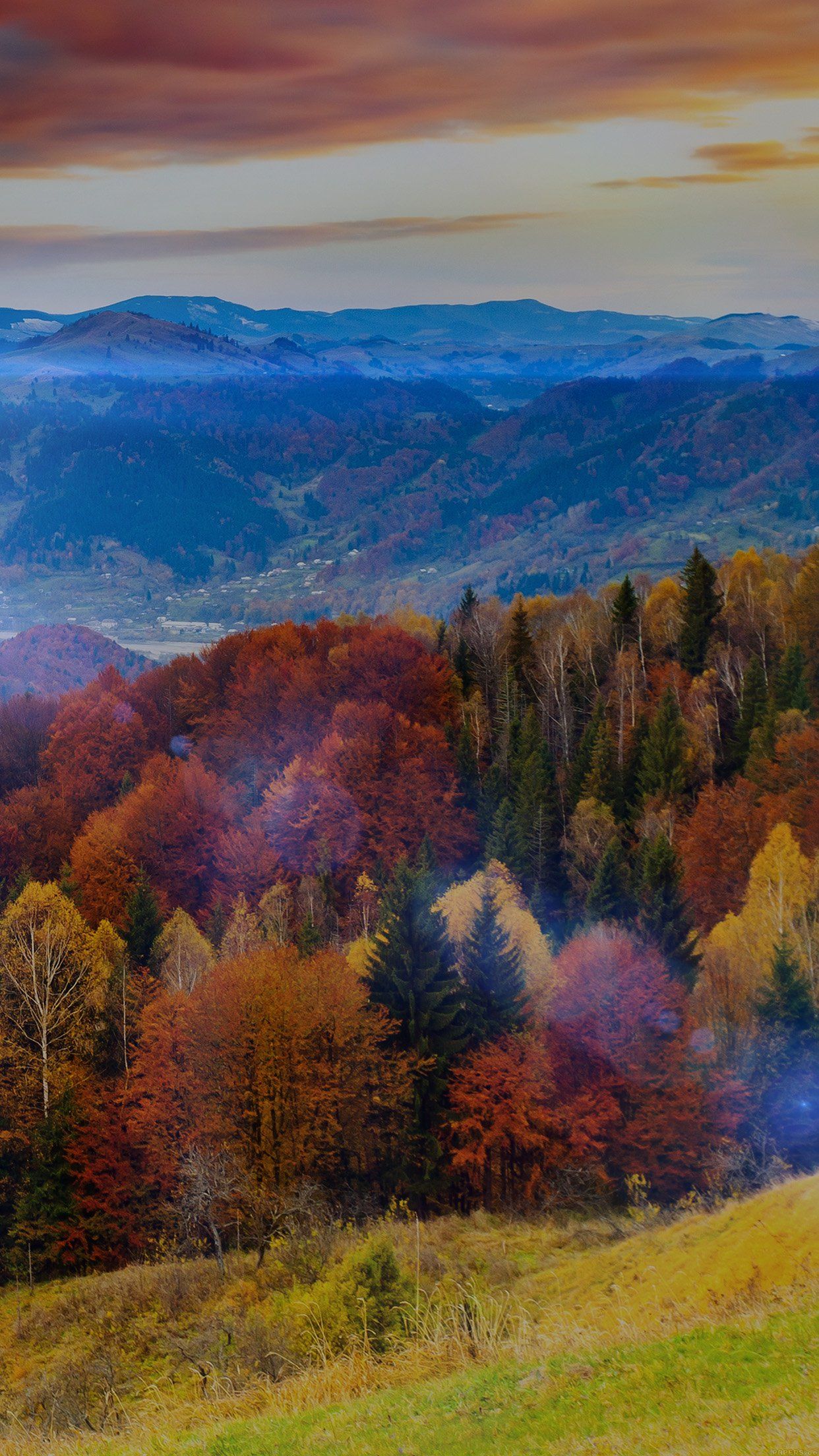 1242x2208 Fall Mountain Fun Red Orange Tree Flare Nature Android wallpaper